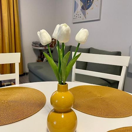 Apartament Mara Băile Felix Exterior foto